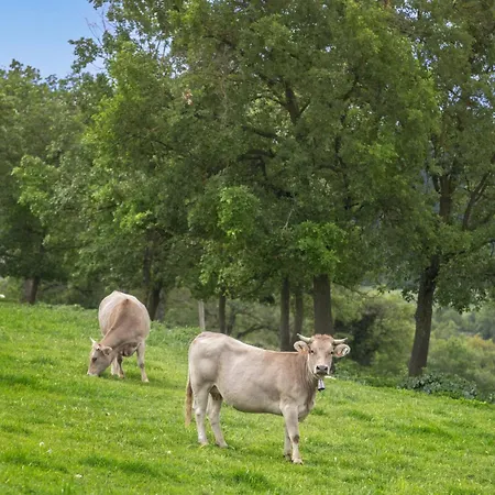 Camping Llucanes Olost